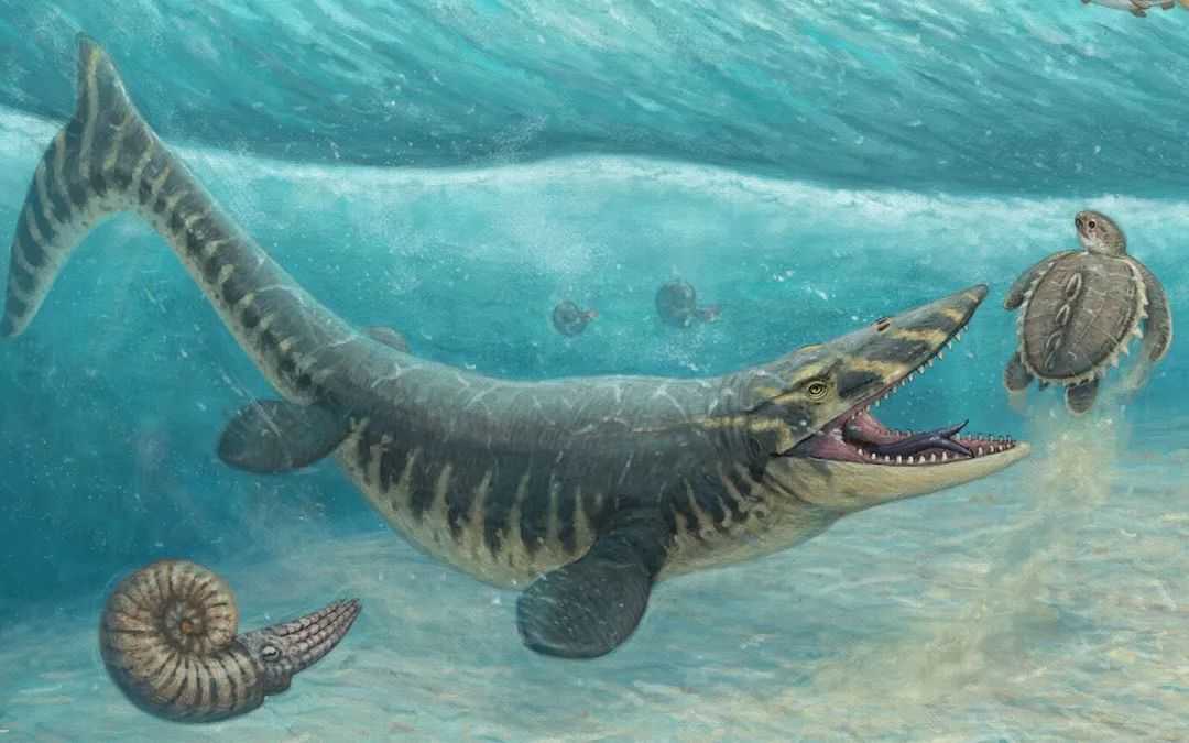 Tylosaurus: The Colossal Marine Reptile of the Cretaceous Seas